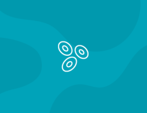 Triglycerides: Why They Are Different